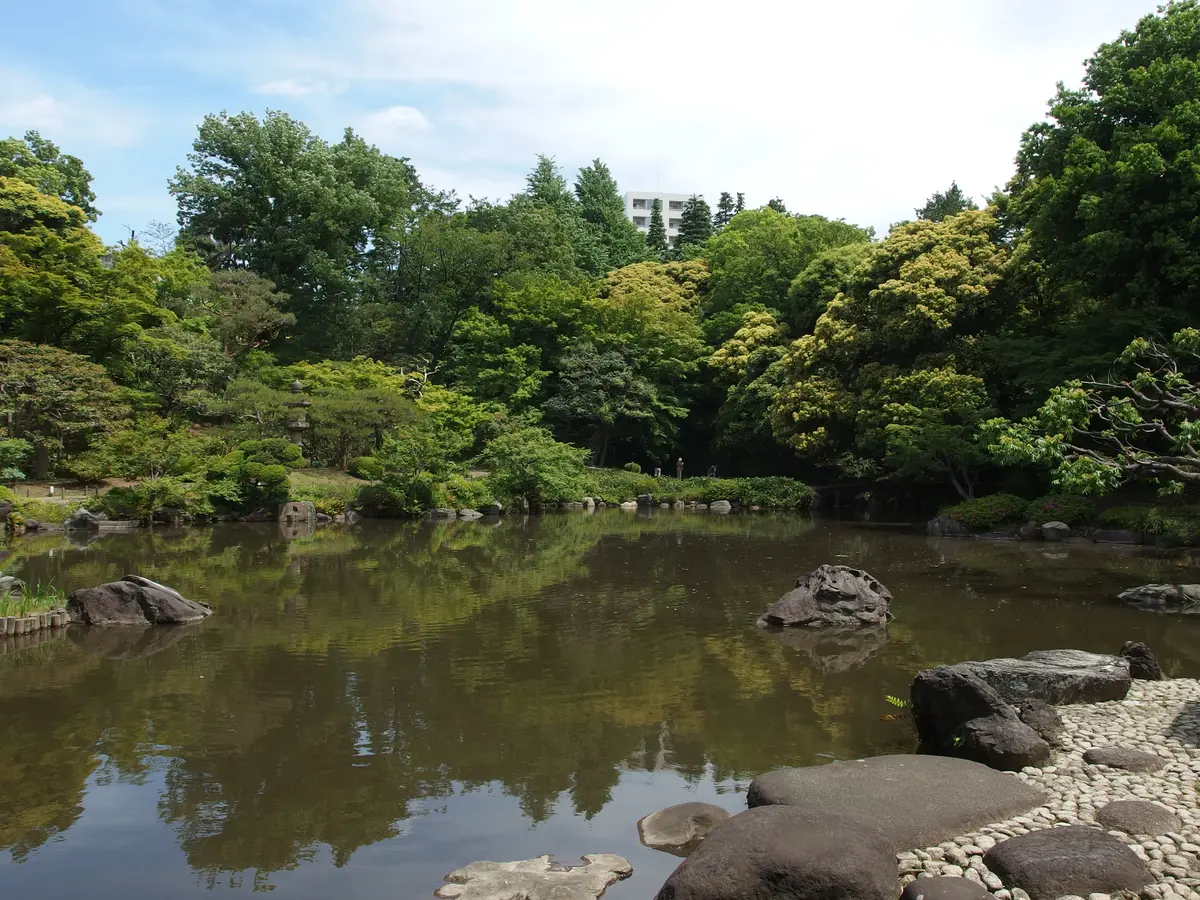 旧古河庭園の日本庭園の池と緑