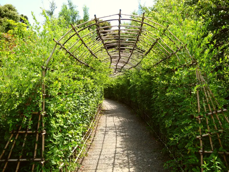 向島百花園の萩のトンネルと園路