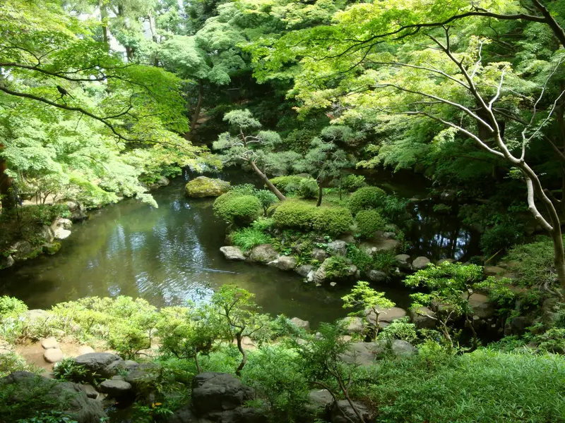 殿ヶ谷戸庭園の池と緑